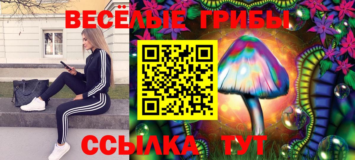 Дзержинский  Псилоцибиновые грибы MAGIC MUSHROOMS  Вход с VPN 