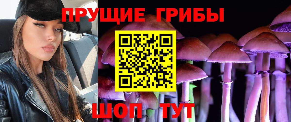 Псилоцибиновые грибы ЛСД Дзержинский